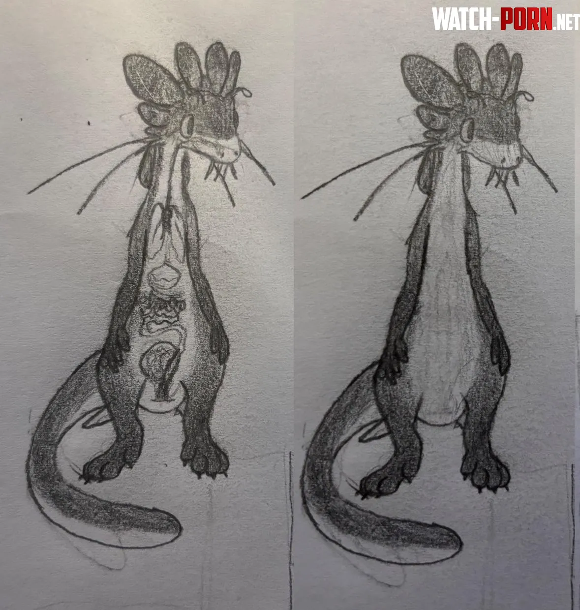 The guts drawn by me by Euphoric-Climate-581