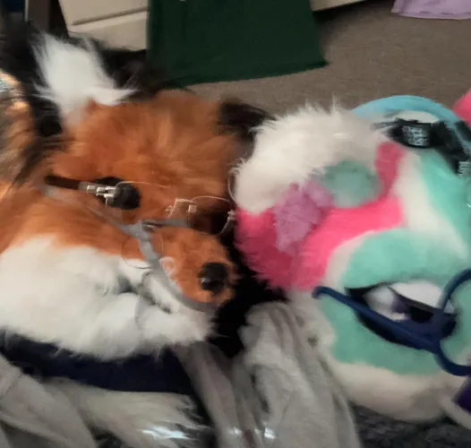 Thumbnail Ferdinand's Chilling Furry Art by Ancient_Summer_1833