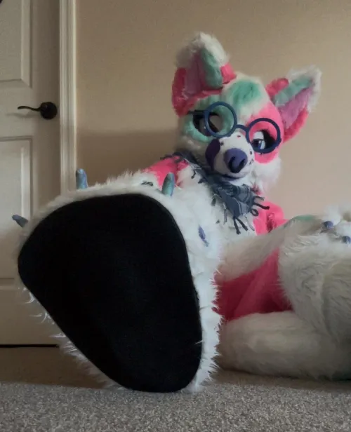 Thumbnail Furry Delight: Ancient_Summer_1833's Beanless Creations