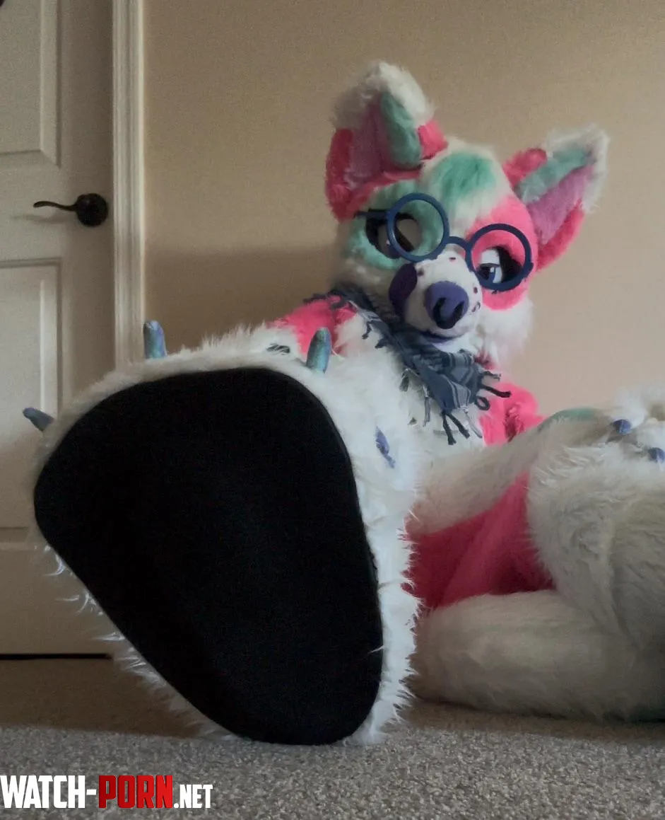 Hello rfurry Ya like em BEANLESS by Ancient_Summer_1833