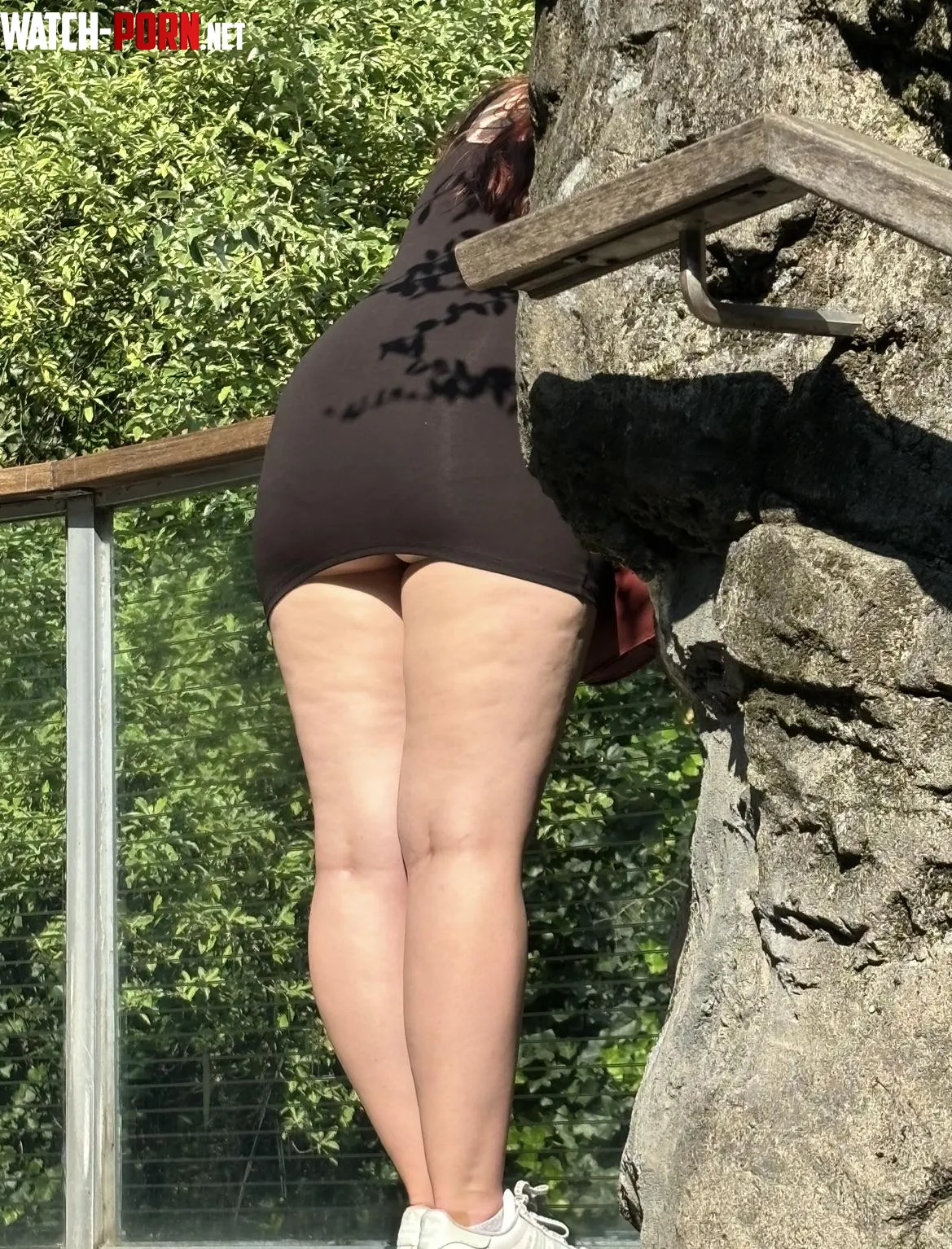 My dress rode up at the zoo by Beneficial-Box9700