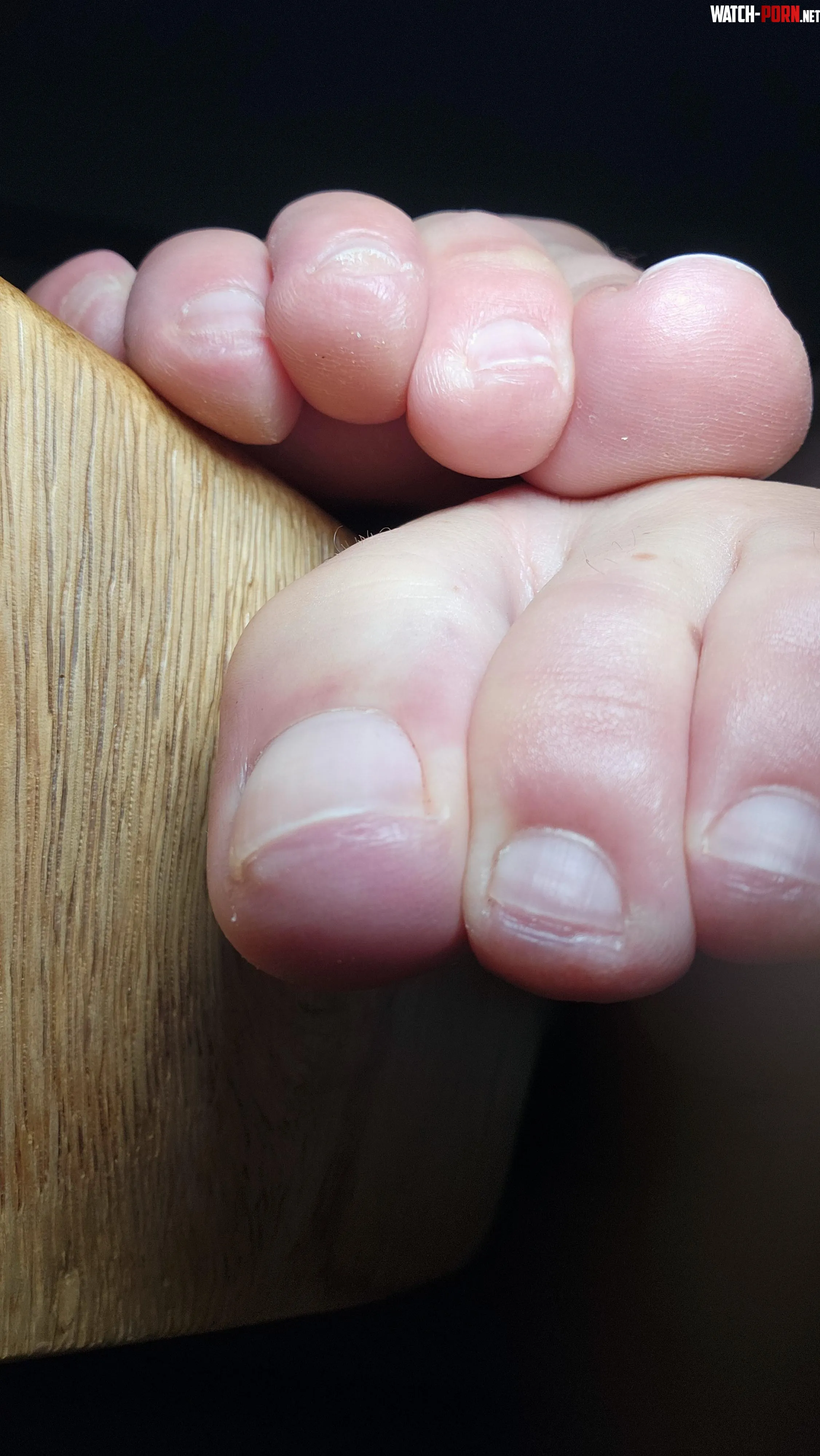 Theyre asking to be sucked by ladymysticxx