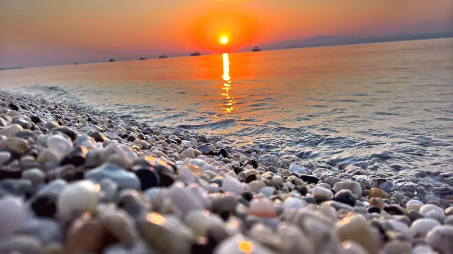 Thumbnail Black Sea Beauty: A Guide by j641x