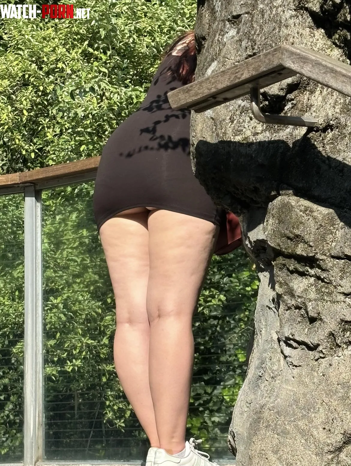 Dress rode up at the zoo by Beneficial-Box9700