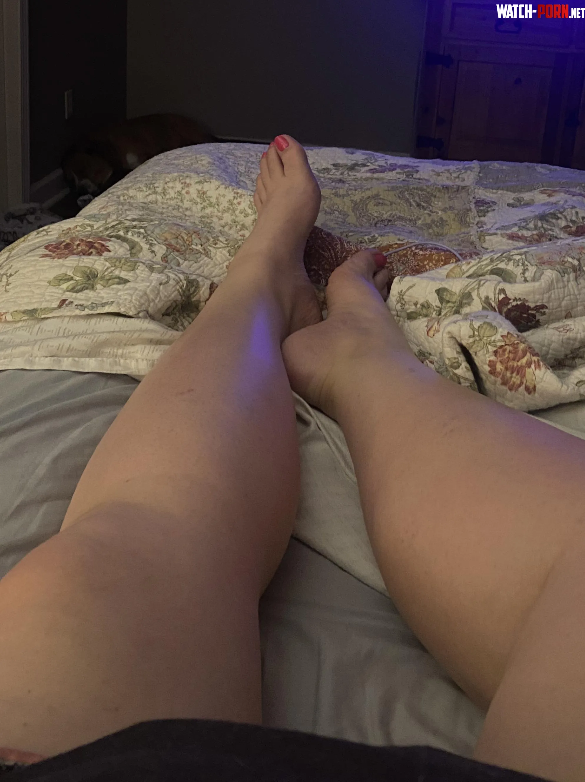 Bbw feet and more pics by KittyFatFeet88