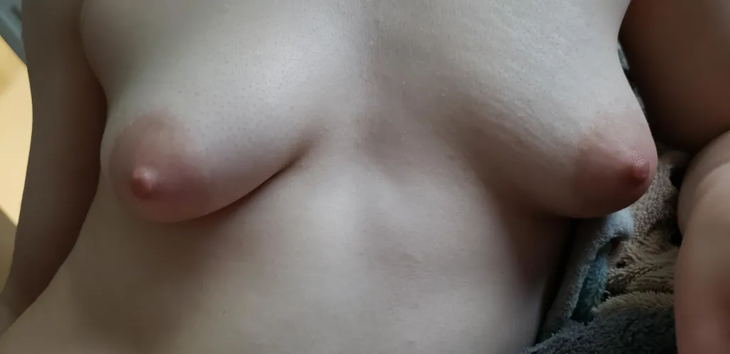 Thumbnail Loving the Little Ones: Beauty in Smallness By TinyTitsandToes