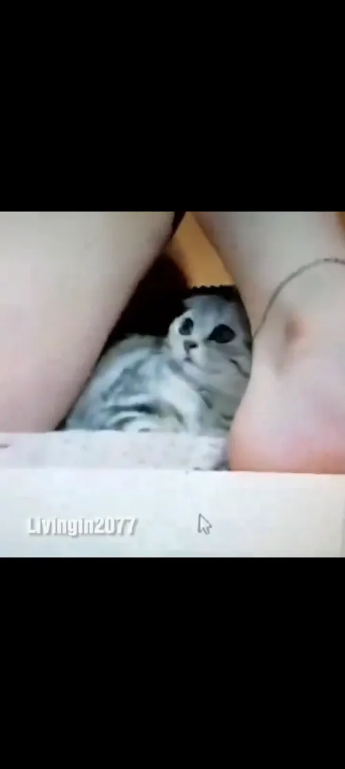 Thumbnail Original Video Needed by RandomUser-469 - SauceforNSFWads Category