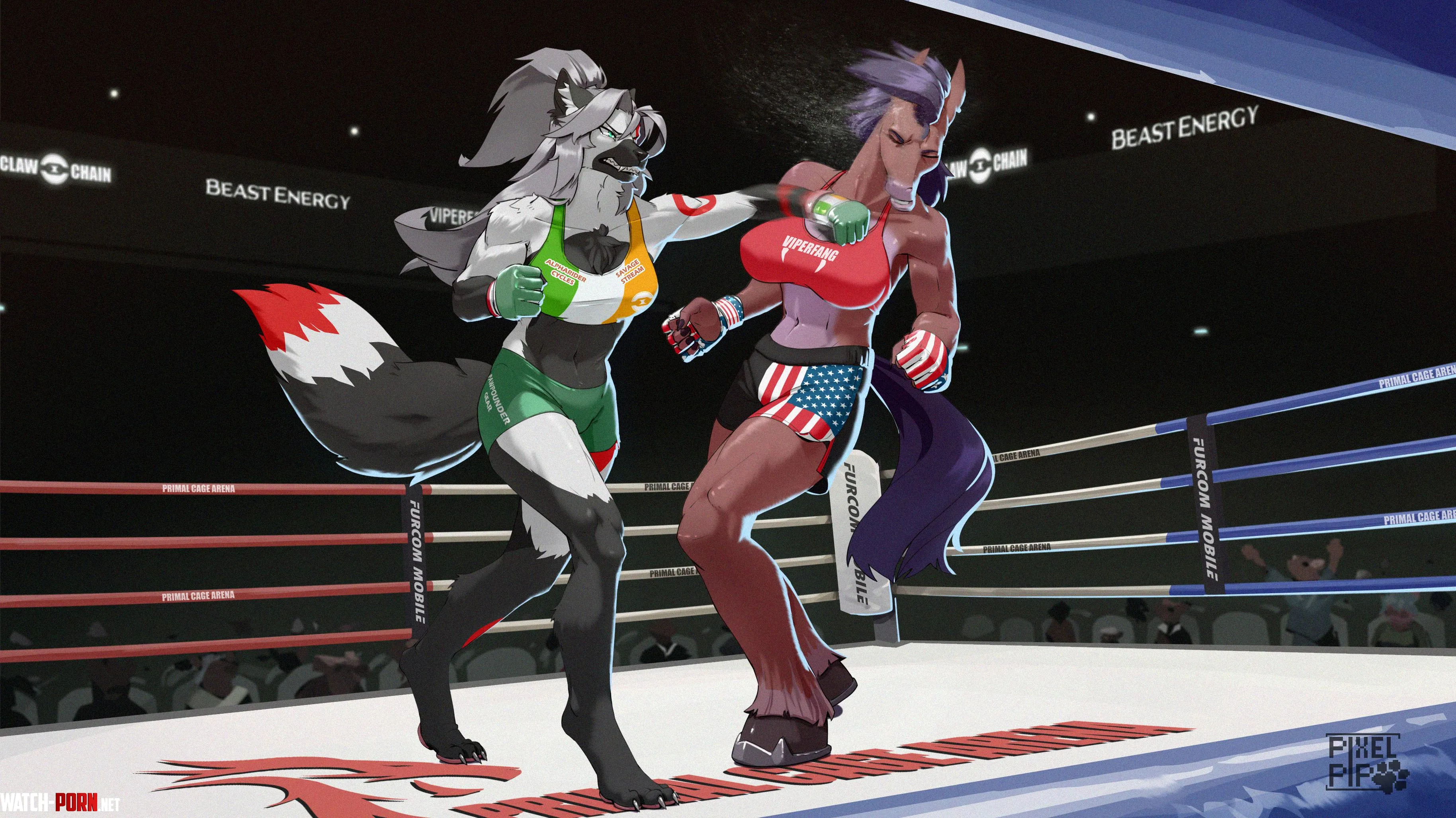 Ireland vs USA  by Pixel_Pip
