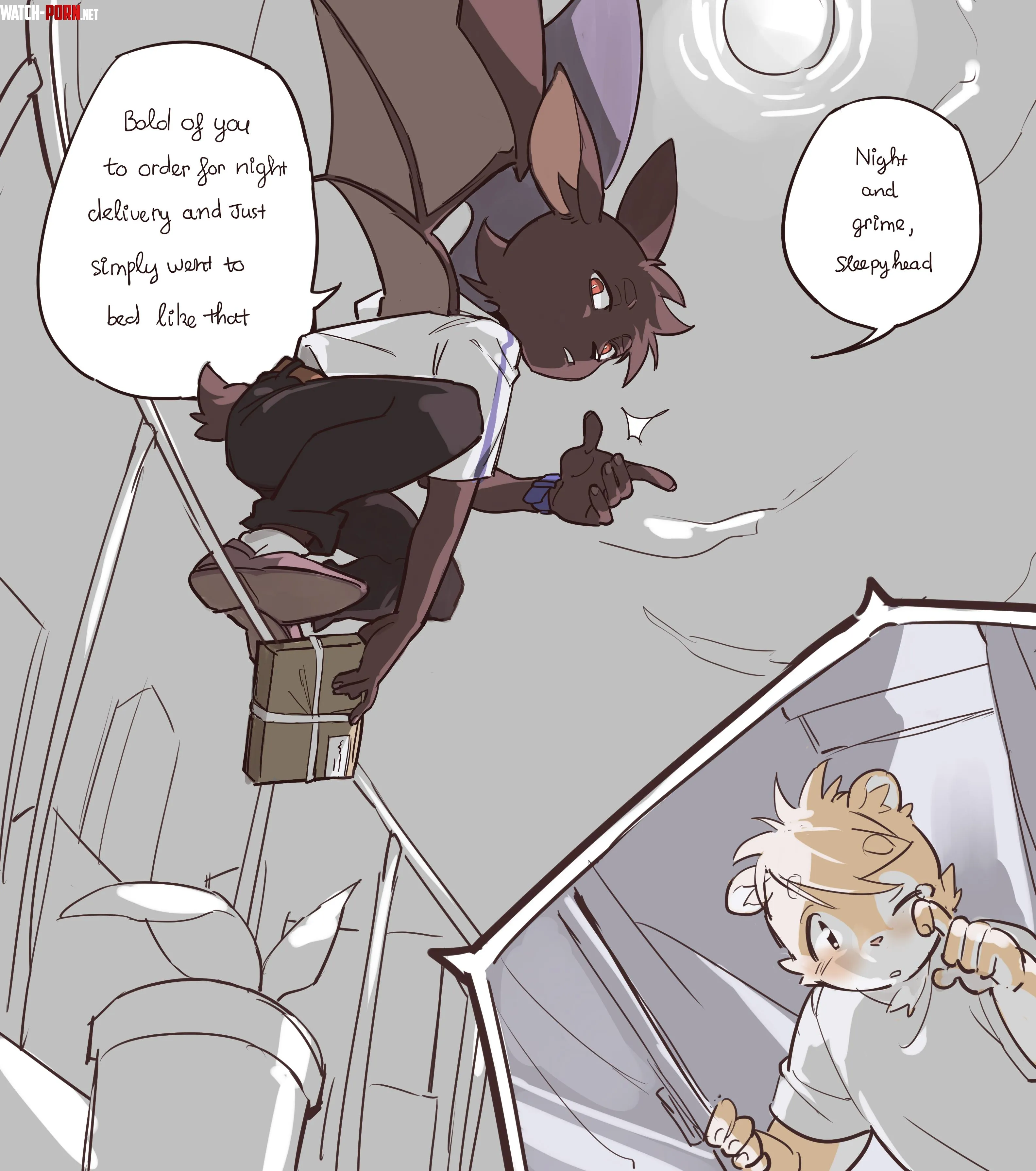 Imagine scheduling a delivery at 2 in the morning thinking it was just a joke from the website but then they actually send a nocturnal shipper art by me by ContaneShoko