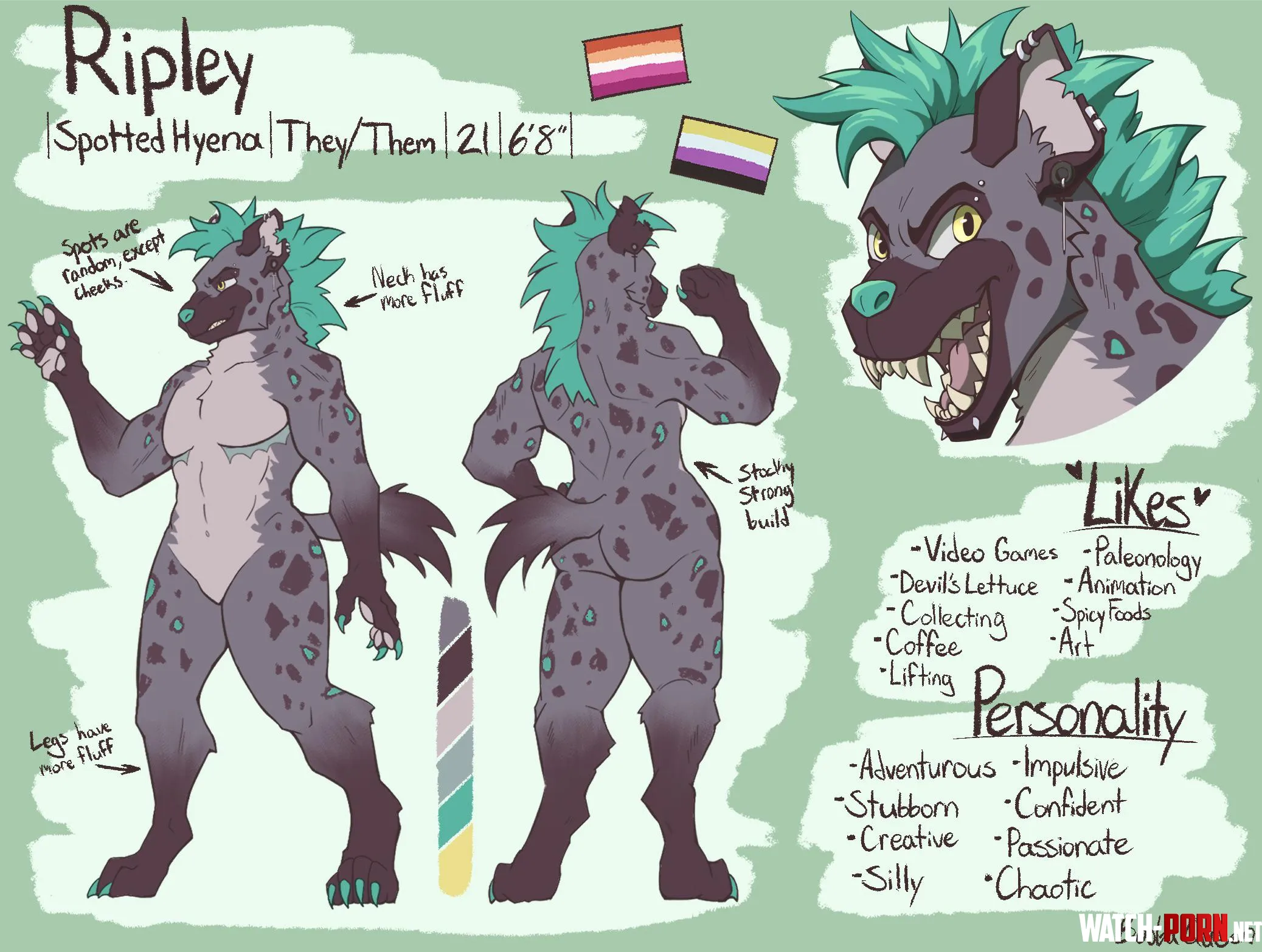 My fursonas ref sheet  by Bony_Eared_Ass_Fish