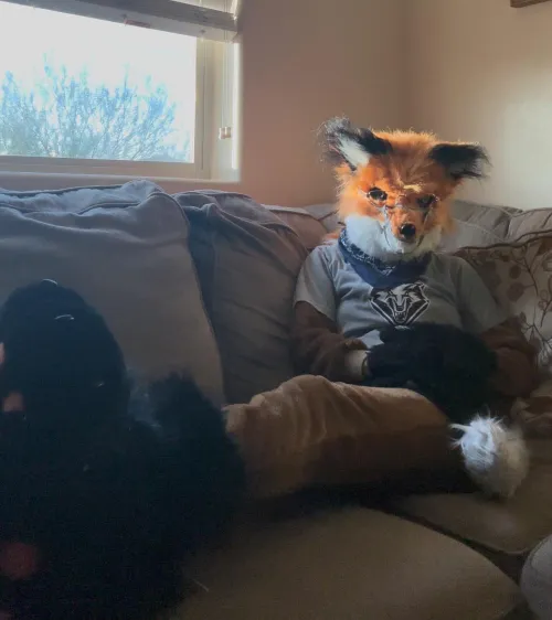 Thumbnail Engaging Art: 'Did You Want to Sit Here?' | Ancient_Summer_1833 | Furry