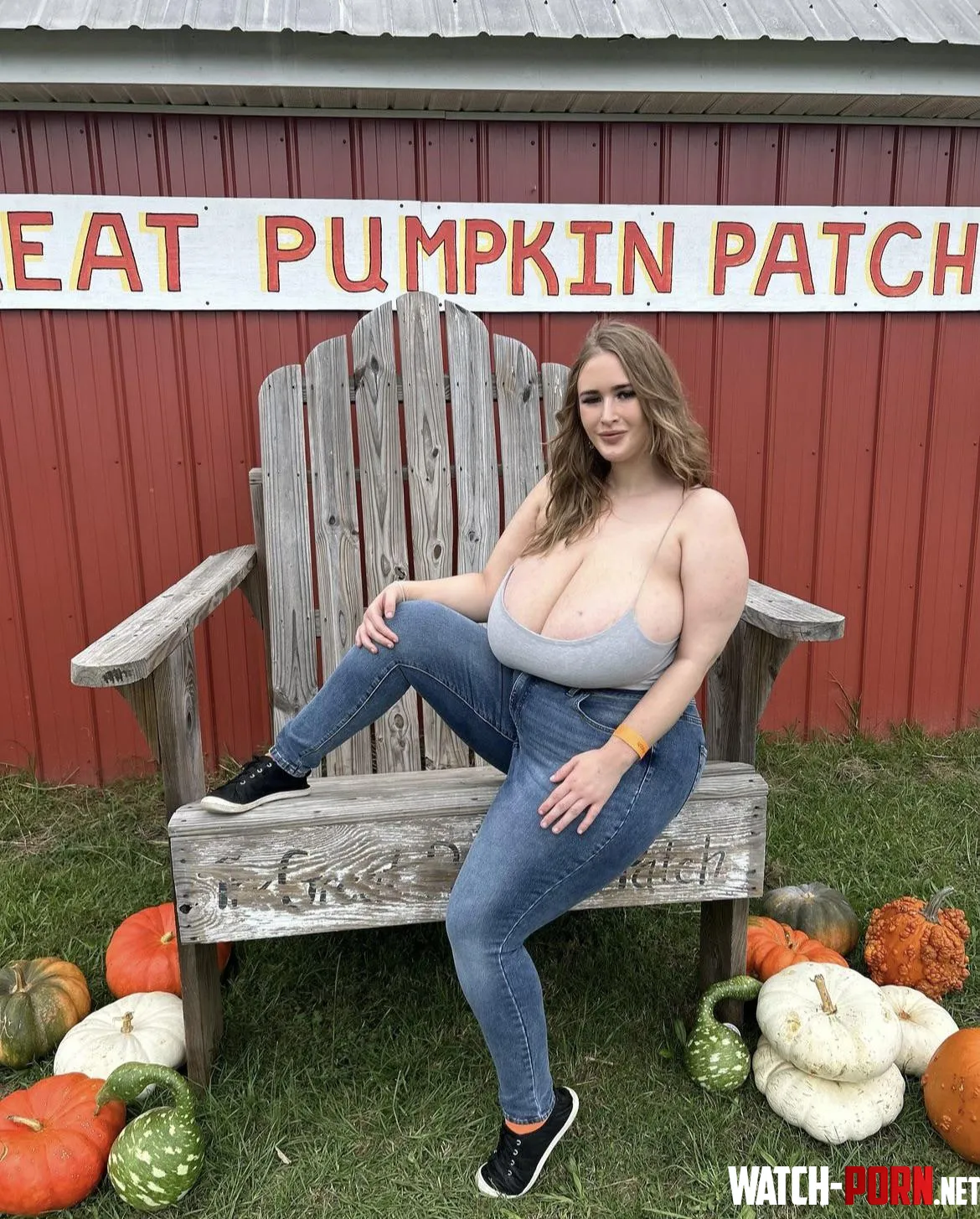 Pumpkin patch by mrprofessional2424