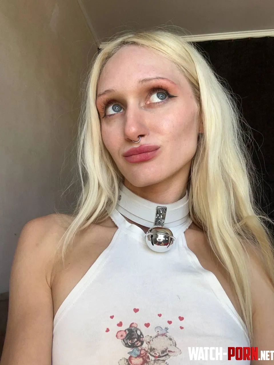 I wanted to show you my favorite collar Its so cute F by SweetpetiteChik