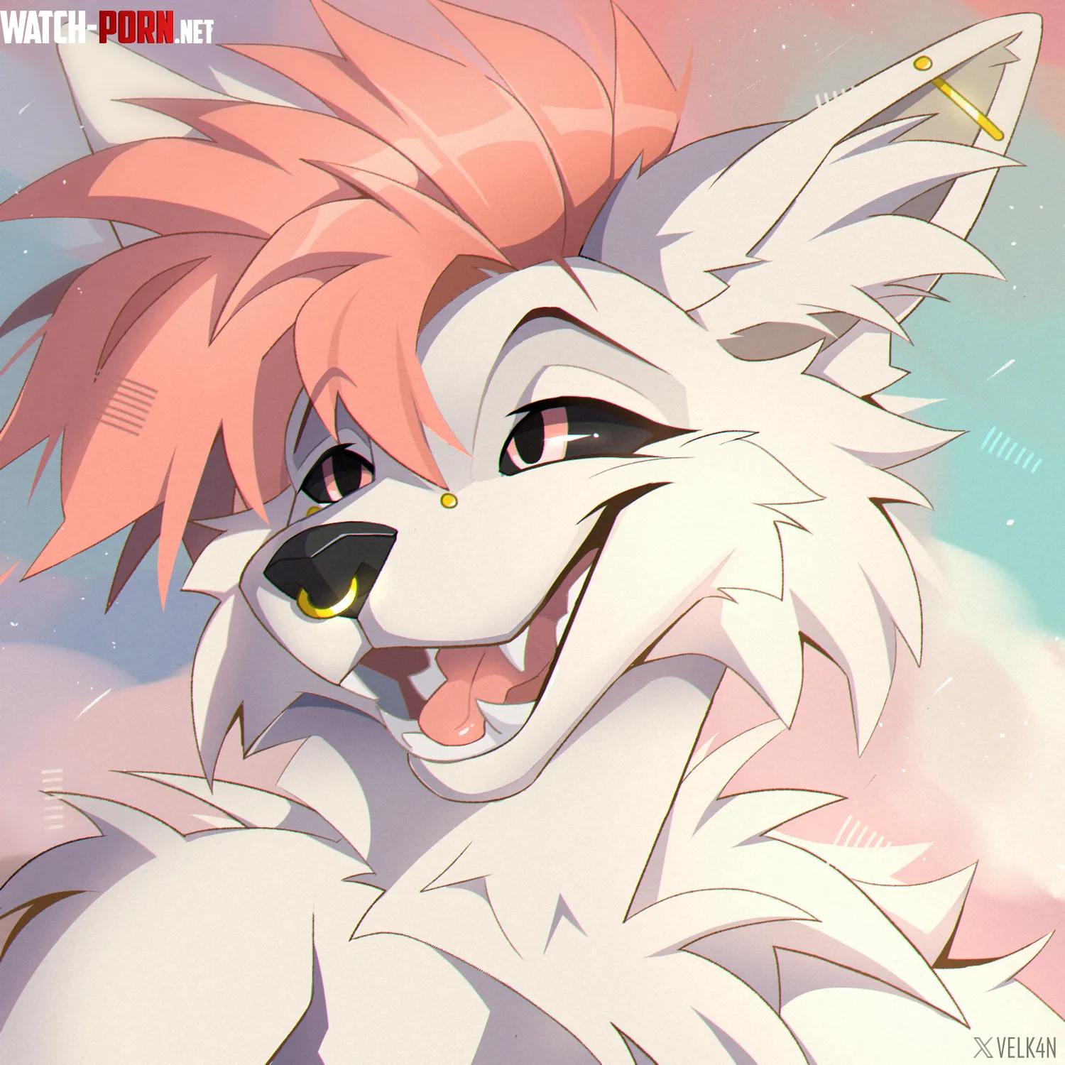 Wolf  by Velkanh