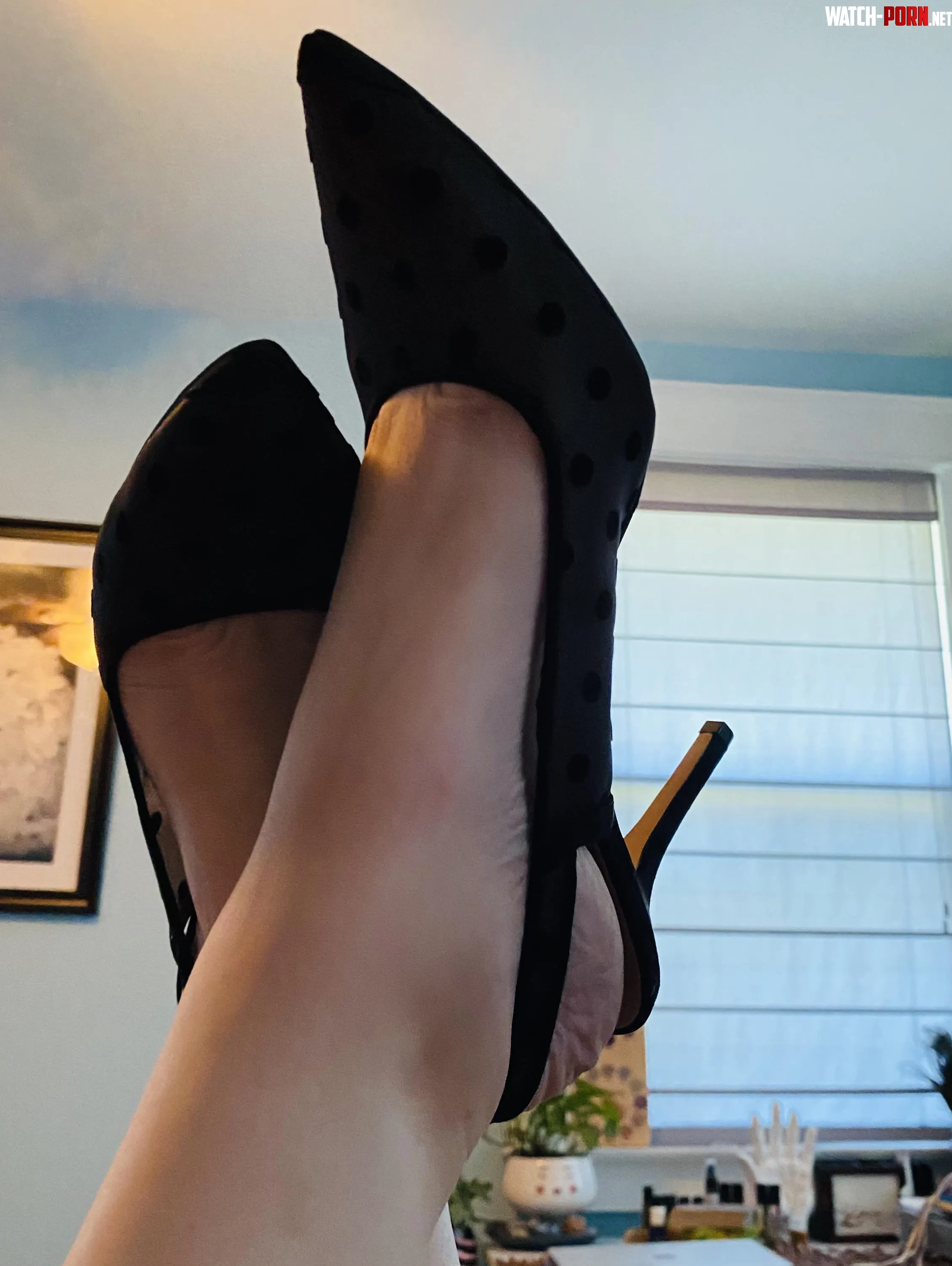Sling back heels to tease  by hammerheels