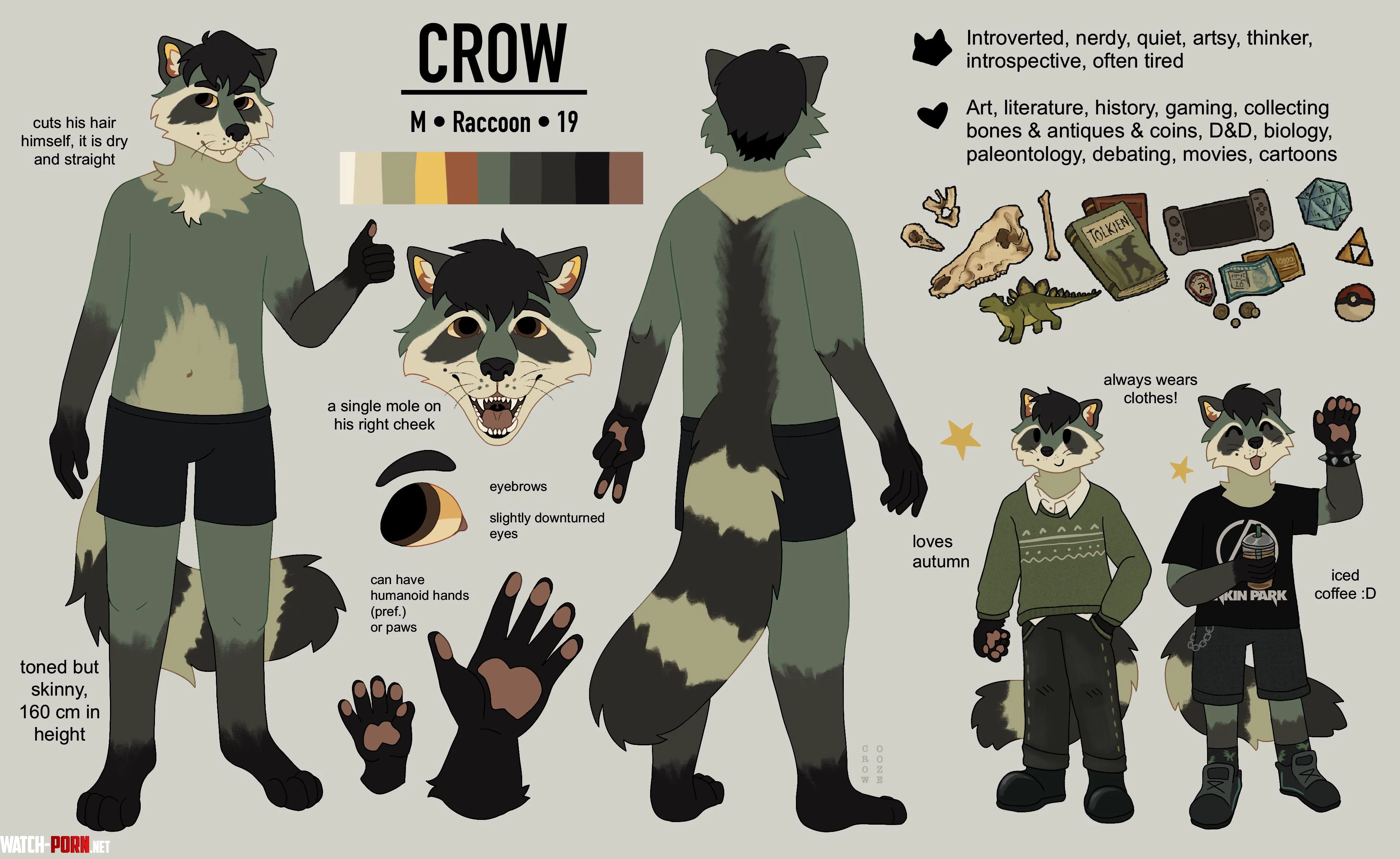 OC Updated my fursonas ref Any other raccoons here Art by me crowooze by introspectivecrow