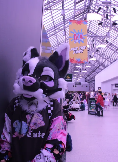 Thumbnail Fall in Love with Porsha from Sing 2 - A Popular Furry Girl
