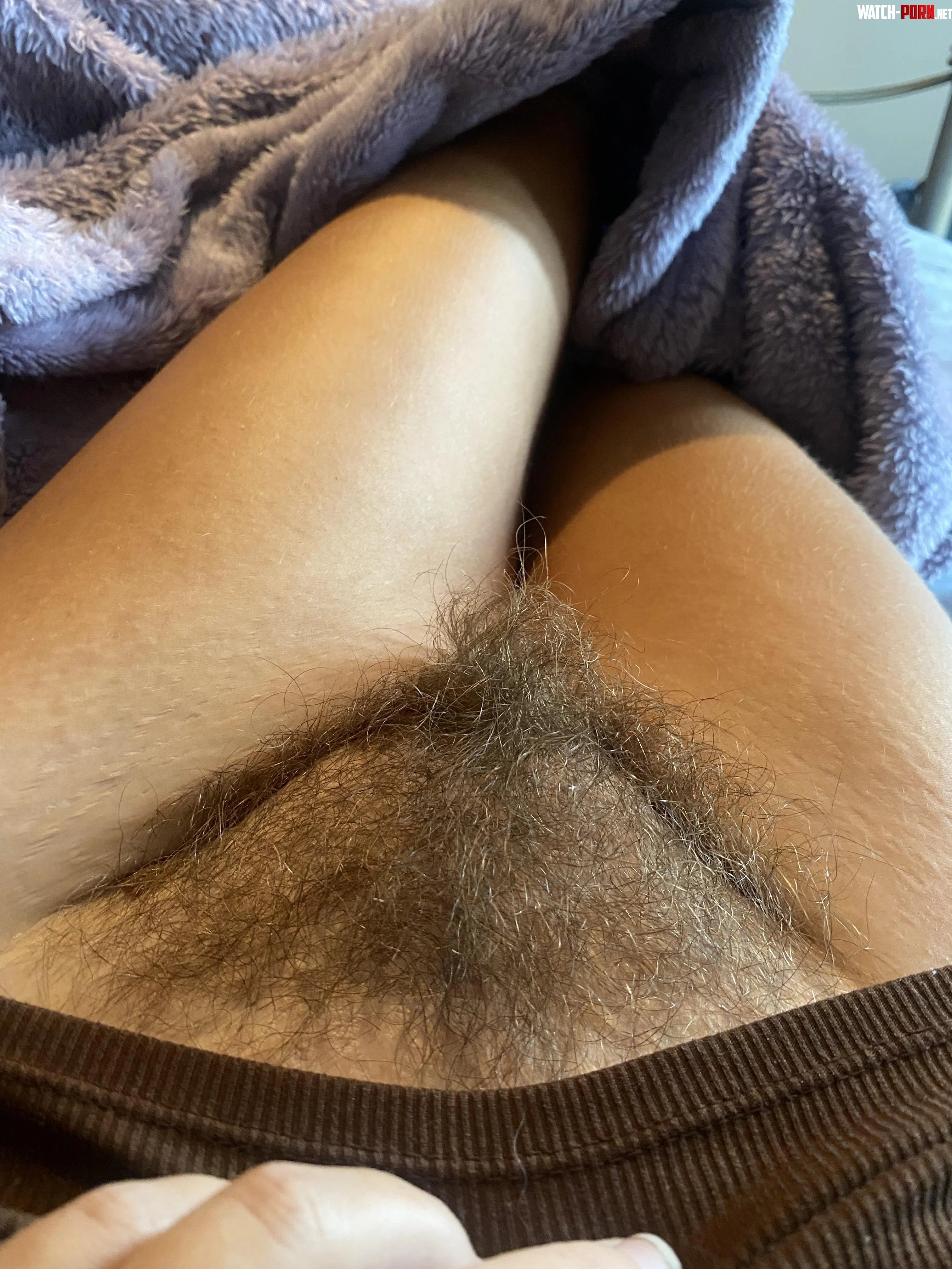 Bush or No Bush  by Critical-Storm1675