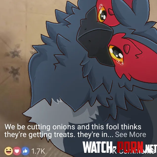 This cuga thinks theyre getting a treat they get teary eyes instead by Used_Dimension1555