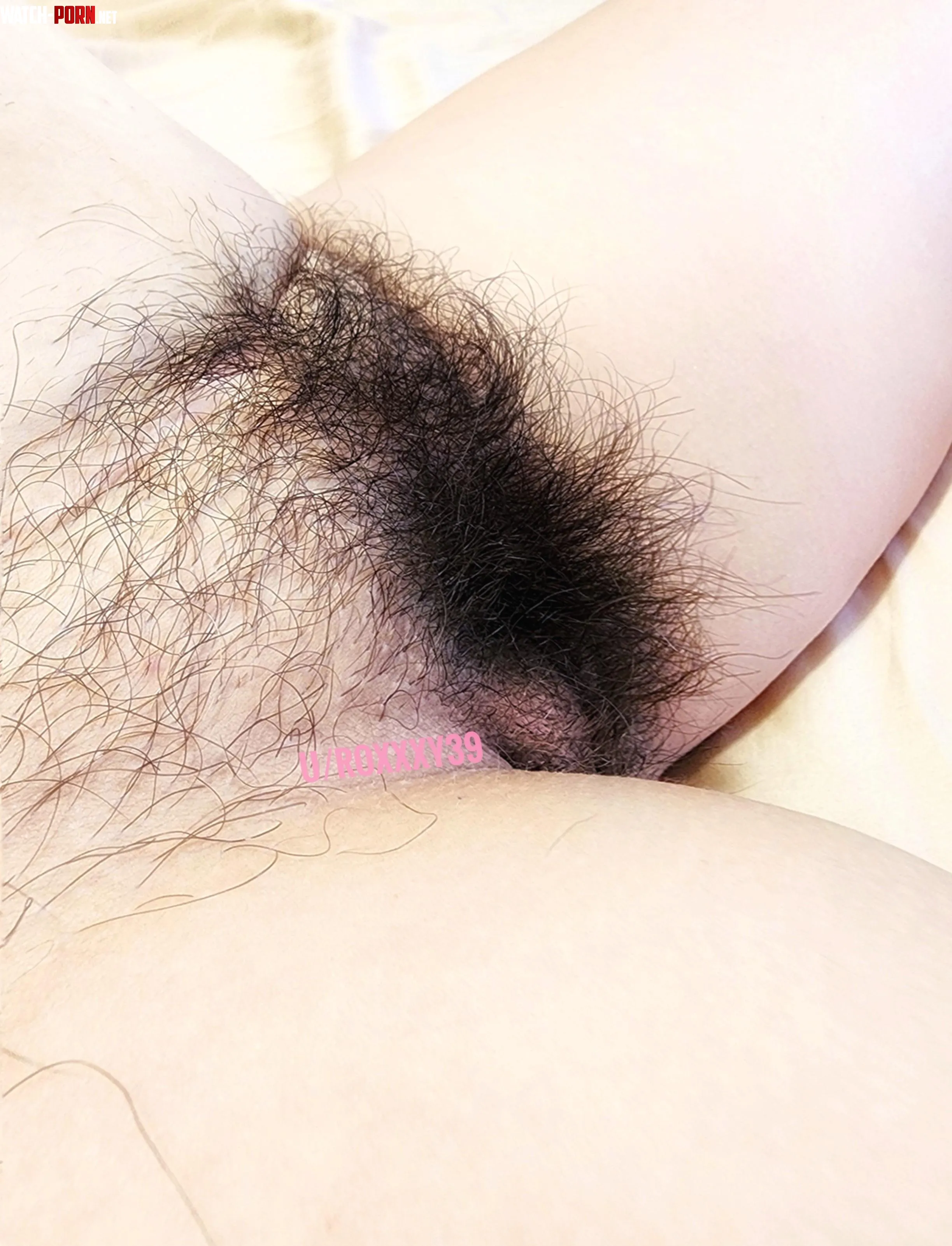 Let me show you what 2 months without shaving looks like f43  by roxxxy39