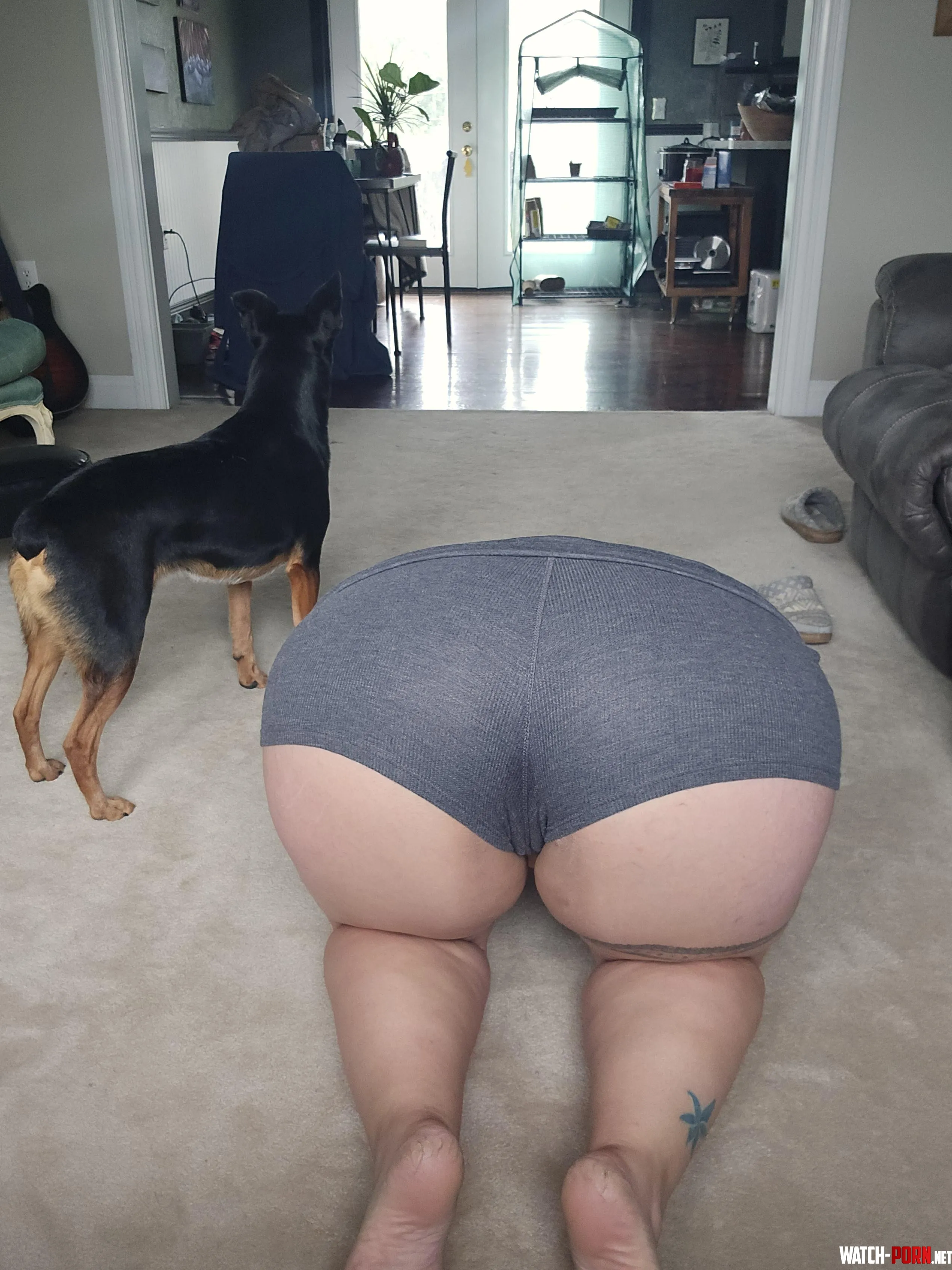 Could use some help being stretched out  by alicemonroestudio