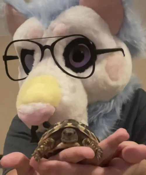 Thumbnail Making Furry Friends: Lamflower's Journey in the Furry Category