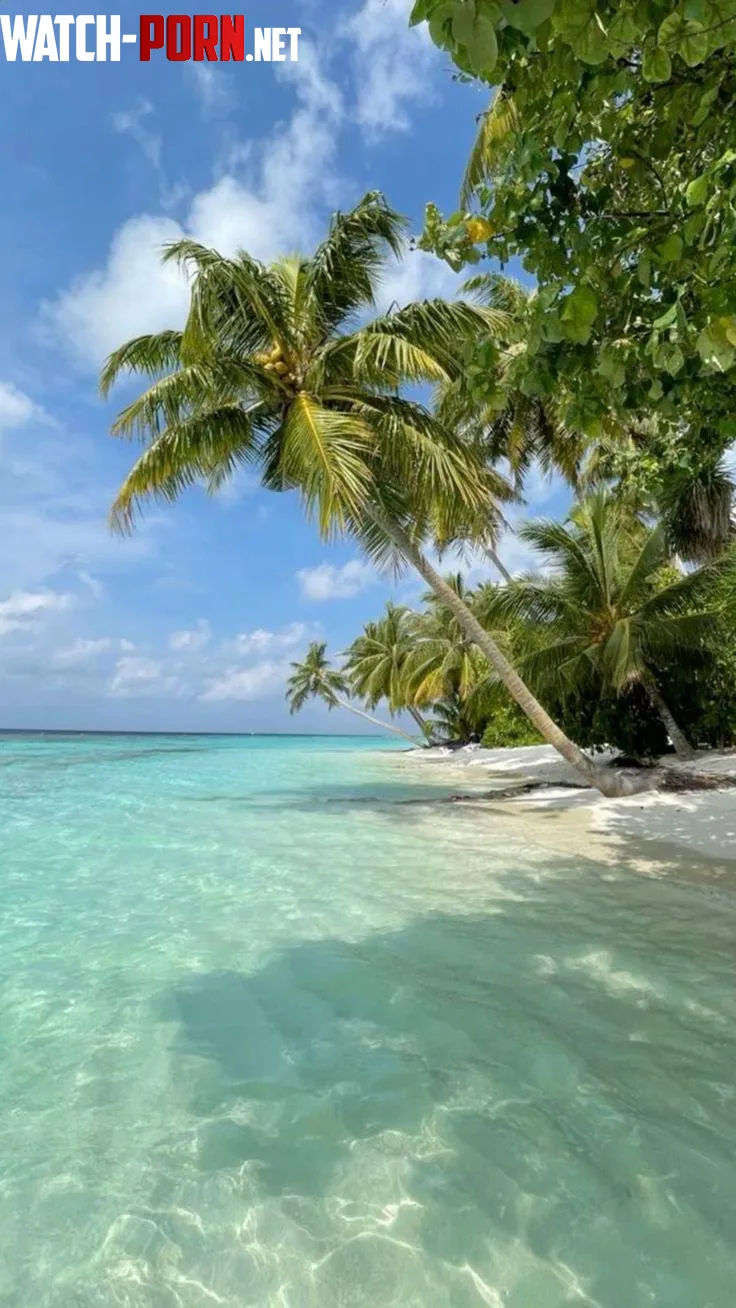 My dream destination  Bora Bora by blondpo