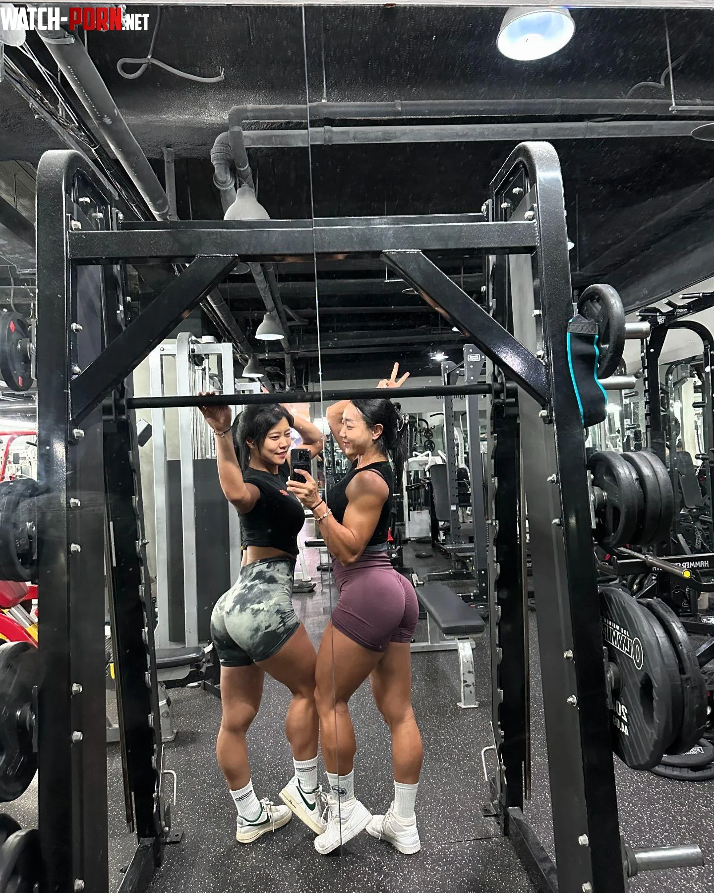 hipme x hannahifbbpro by figurephilosopher