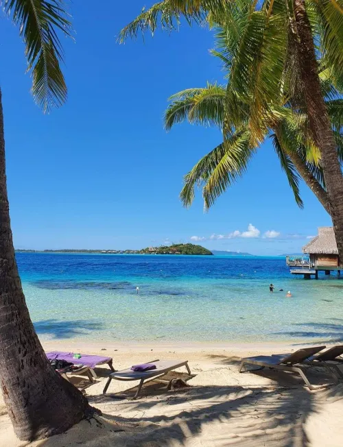 Thumbnail Beach Bliss: The Dominican Republic by idealdiv