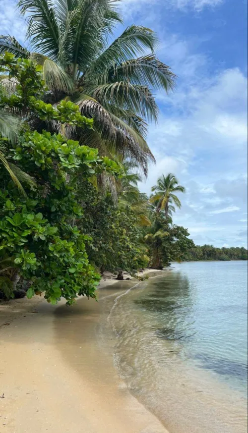 Thumbnail Tropical Getaway: Panama by heavysinki