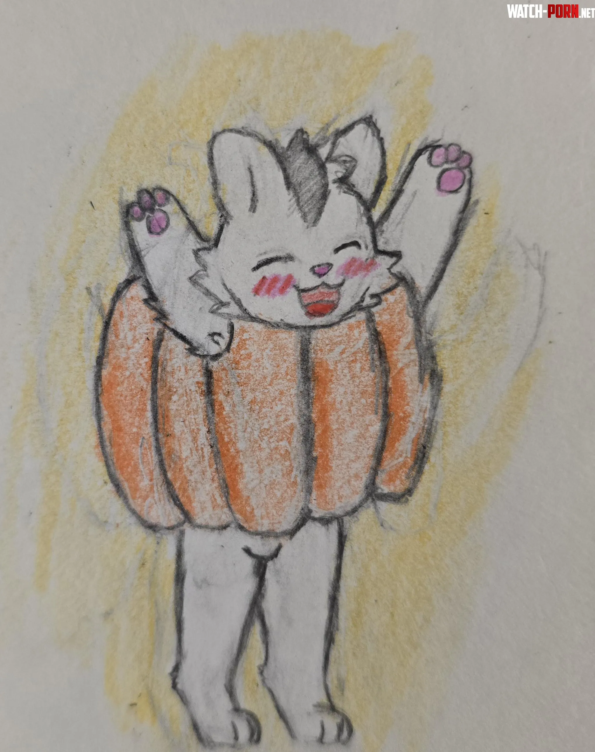 Halloween beans by Due_Media_642