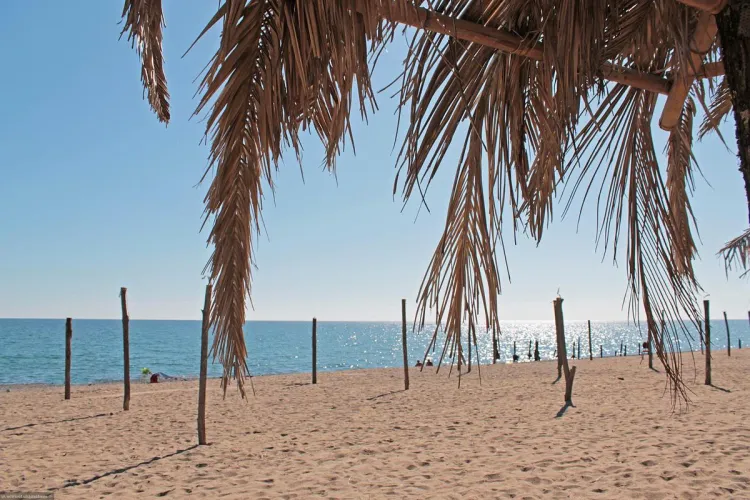 Thumbnail Black Sea's Beautiful Golden Sand Beach