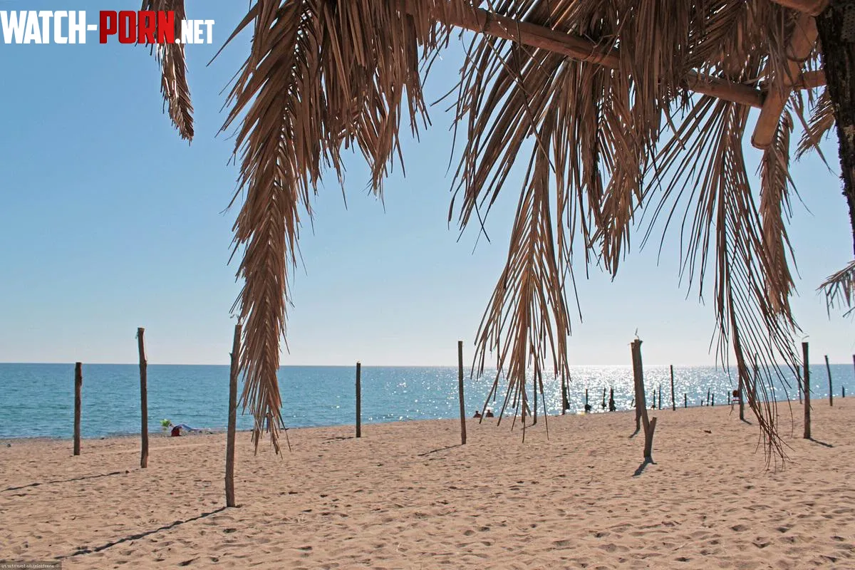 Beautiful beach with golden sand on the Black Sea by Snoo-95009