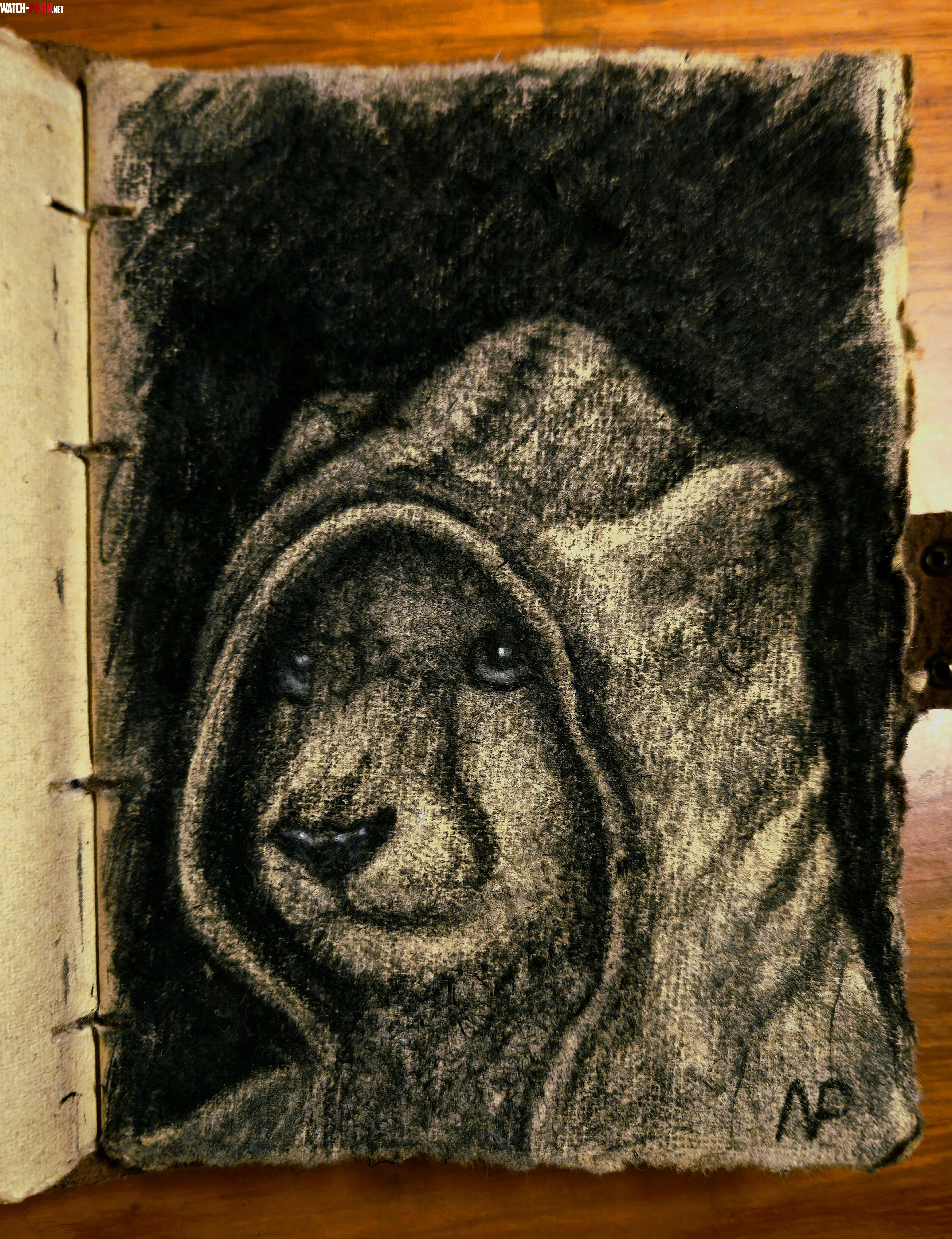 A hooded cheetah from long agooo drawn by me by DarkAvenger34