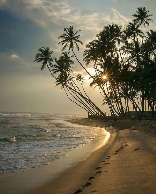Thumbnail Mihiripenna Sri Lanka Beach: A Picturesque Paradise