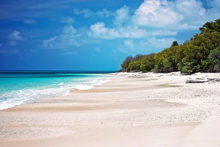 Thumbnail Bikini Atoll Marshall Islands: A Tropical Beach Paradise