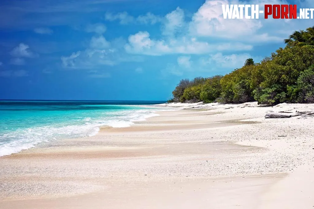 Beach in bikini atoll marshall islands  by colapepsikinnie