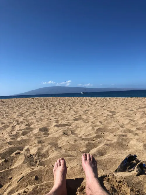 Thumbnail Tropical Beauty: Kaanapali Maui by No-Author-2358