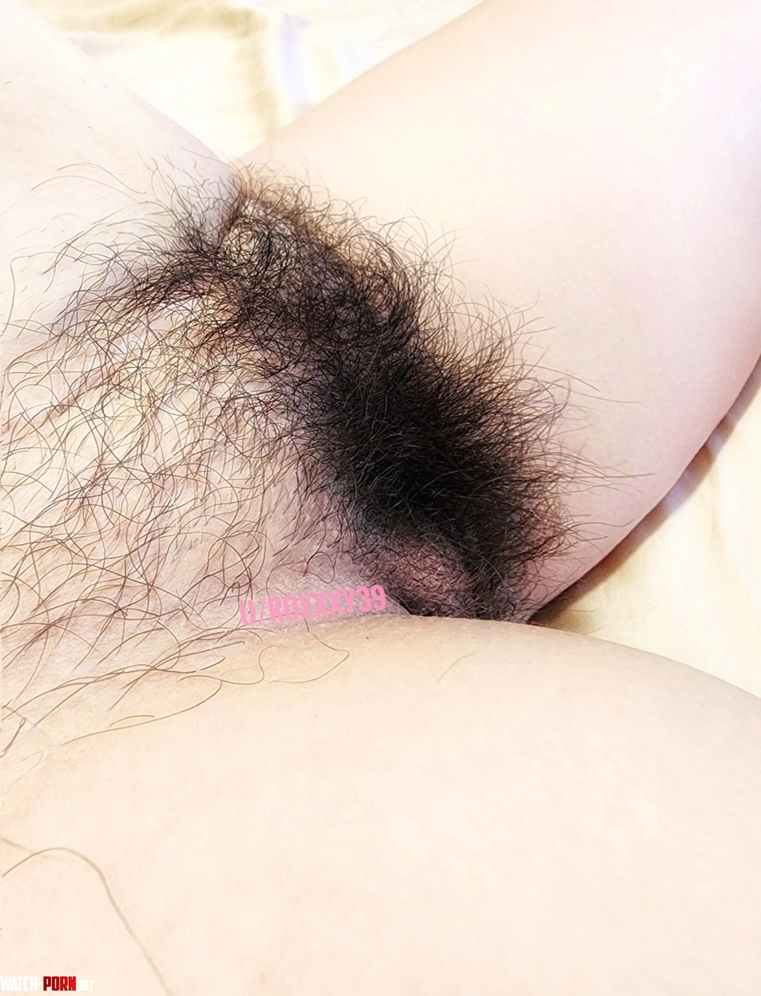 43yo soccer mom heres what 2 months without shaving look like  by roxxxy39