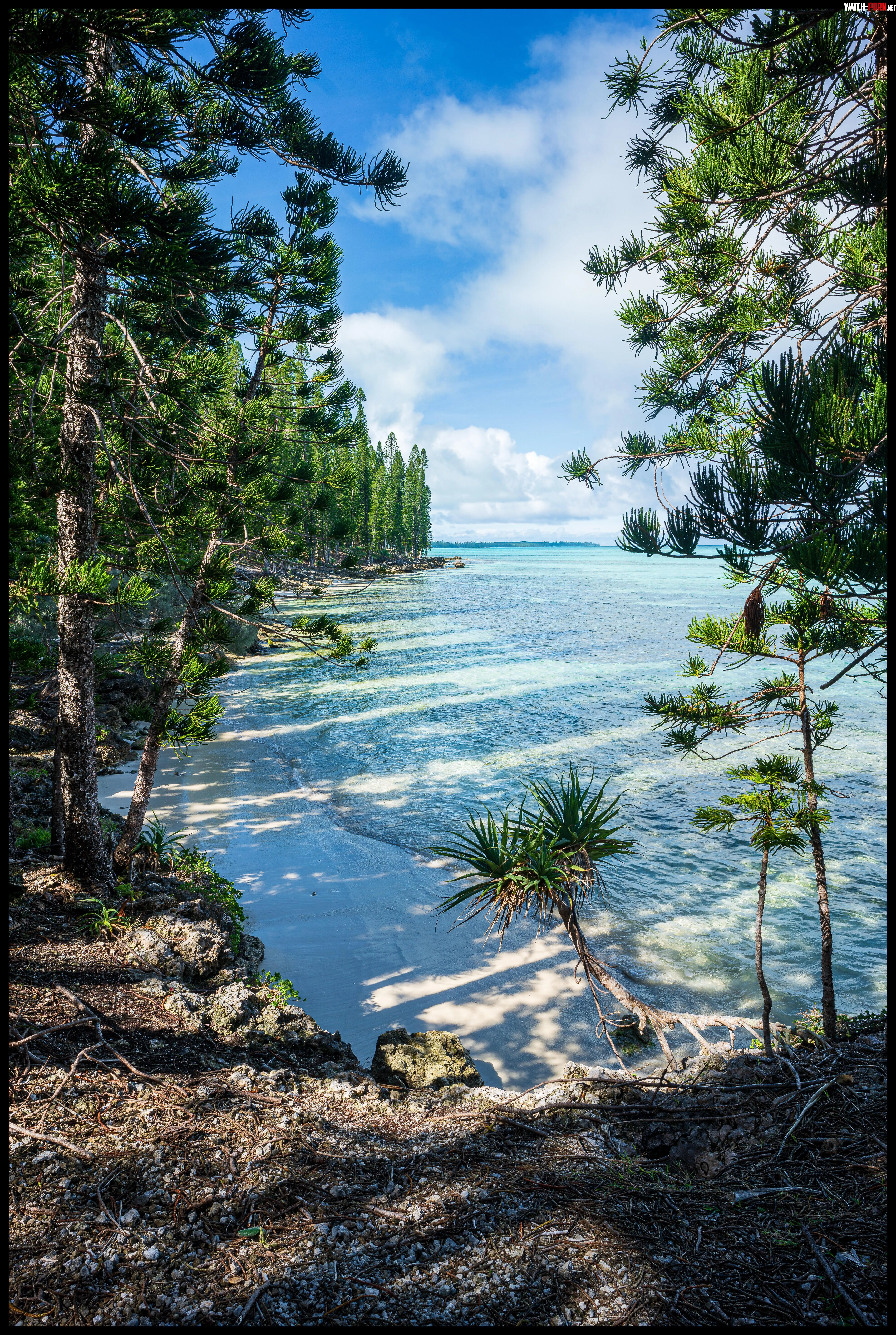 Pine beach NC by colapepsikinnie