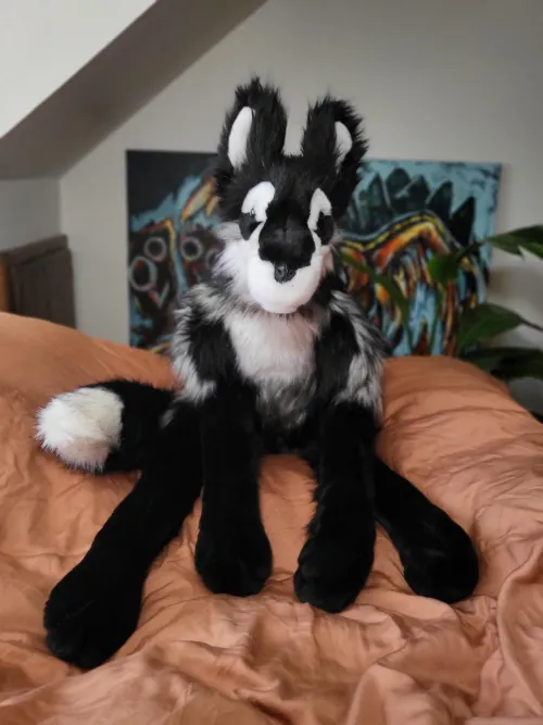 Thumbnail Newbie Plushie Maker's Journey | Furry Article by Owl_Tin