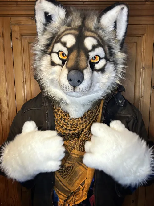 Thumbnail Awoo - Celebrate Fursuit Friday with Smog_the_wolf