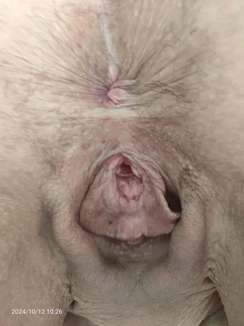 Thumbnail Shitsandgigssss Craves 9 Inches for Needy Pussy - HighMileageHoles