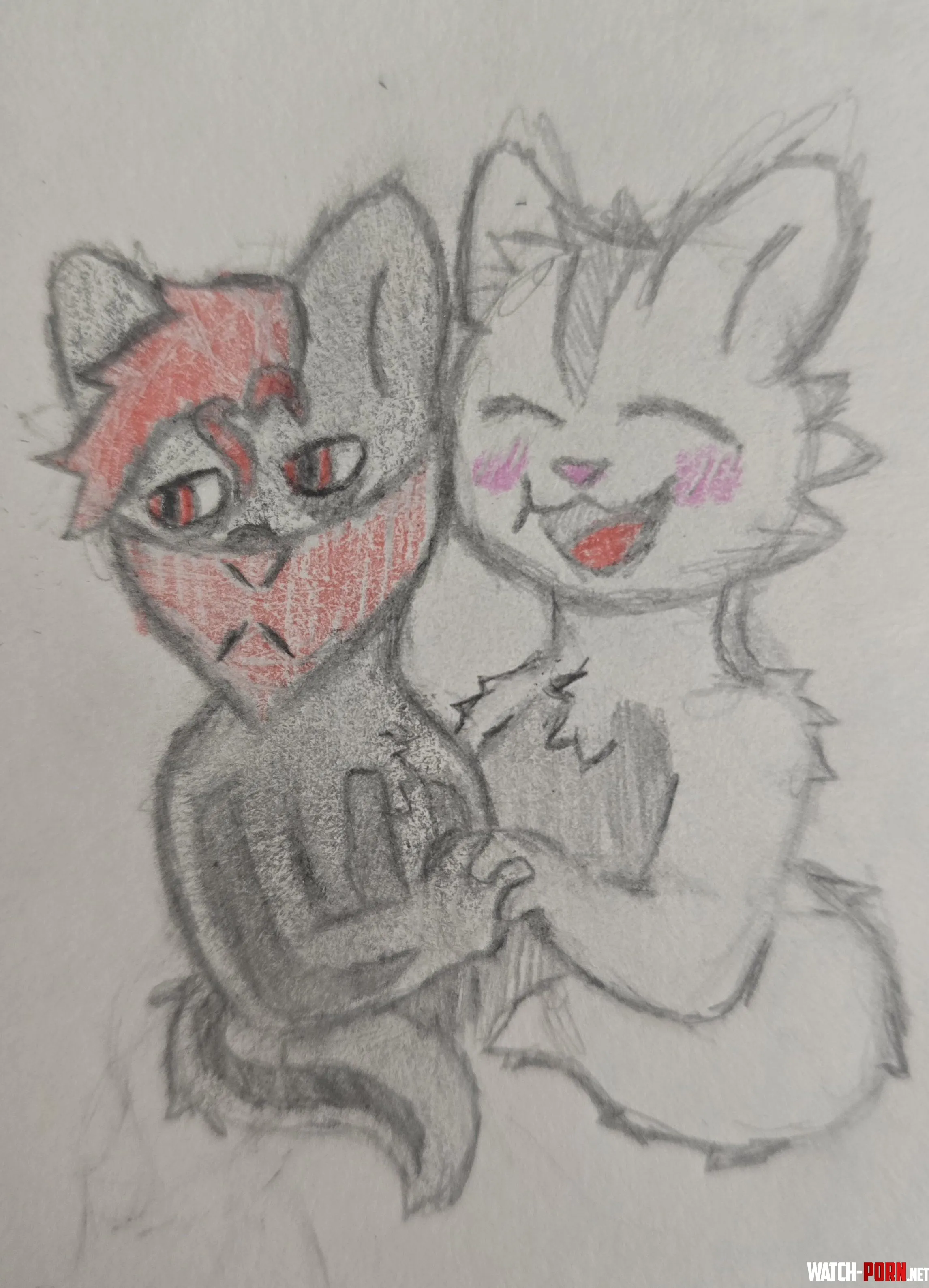 Beans and red doodle by Due_Media_642