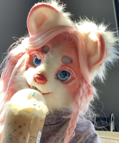 Thumbnail A Cozy Scene: Cambriangirl123 Captures 'A Leopard Enjoying a Latte'