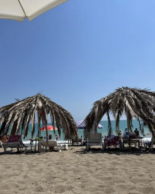 Thumbnail Explore the Charming City Beach Mocha Sukhumi by Snoo-95009