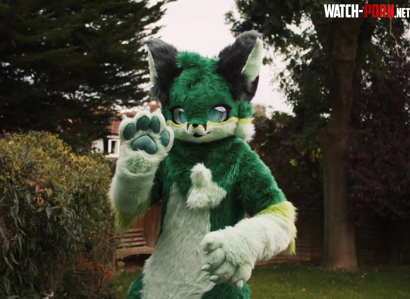 Got my Fursuit  3 by InfinFox
