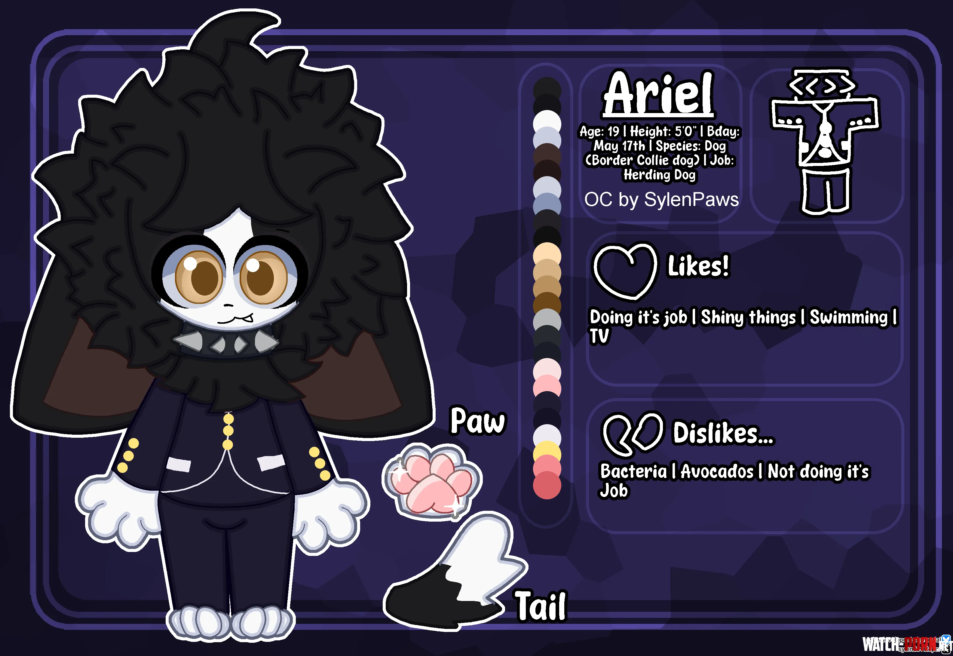 Artwork 271  New reference sheet for my border collie OC Ariel by SylenLean