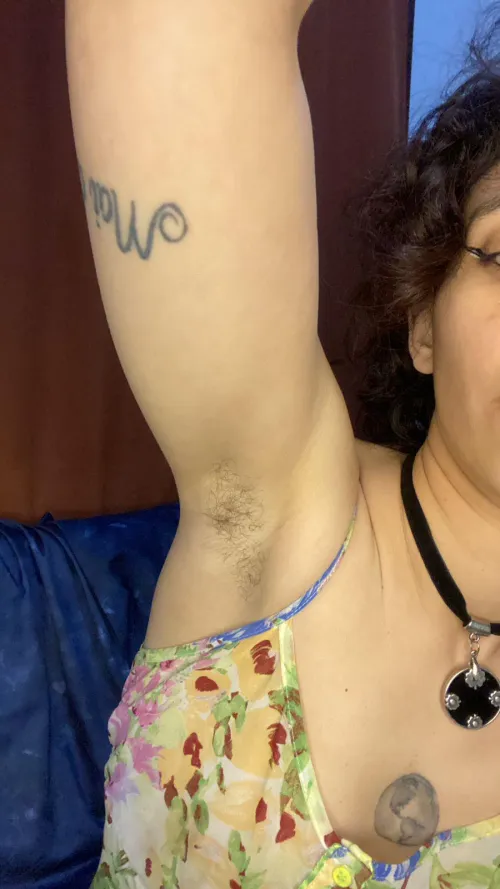 Thumbnail Unveiling the Joy: 'Happy to Show My Pits' by sweethoneybunny33 | armpitfetish