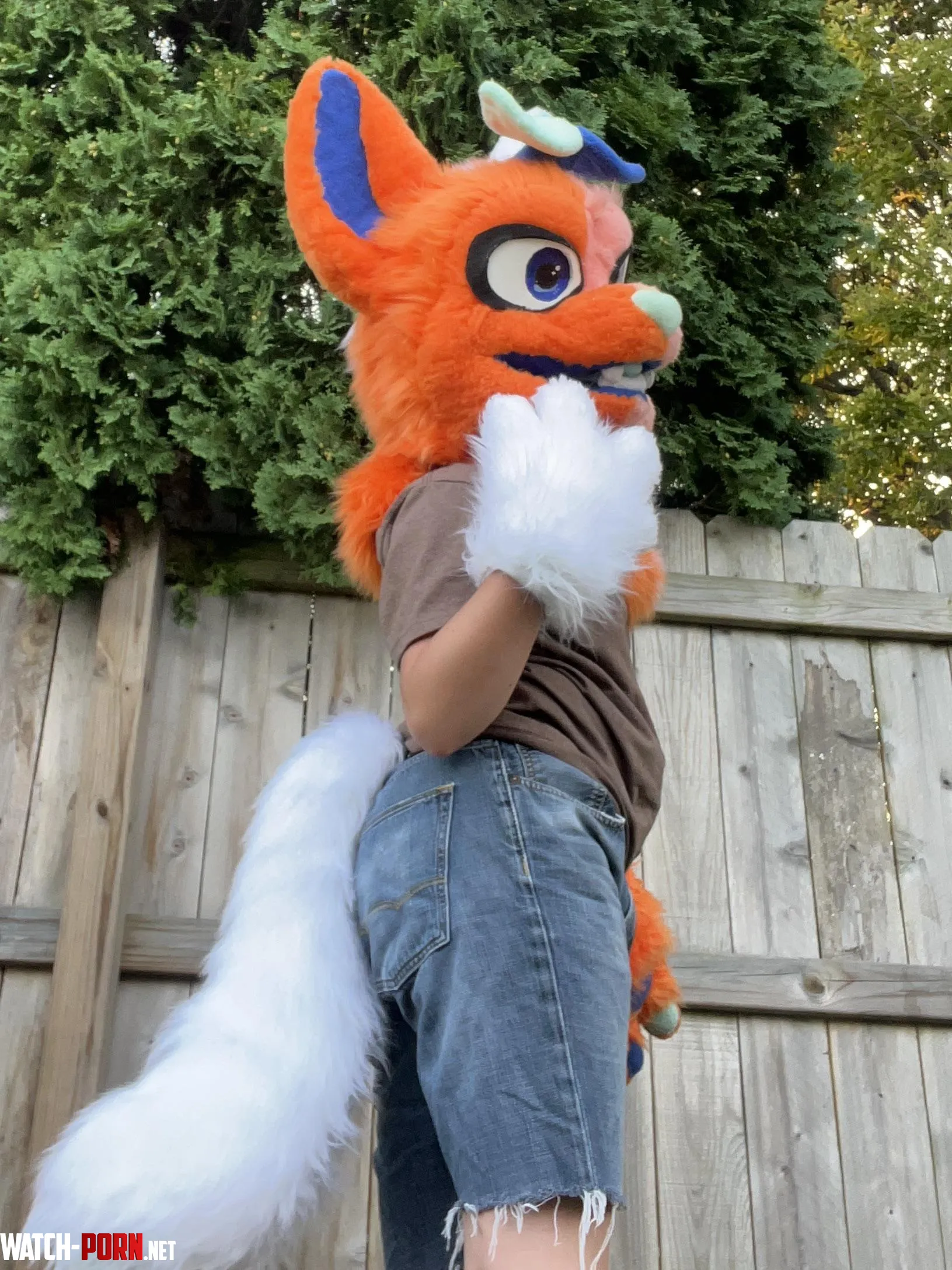 Thinking about trading this guy what would he be worth  by Crunchytails